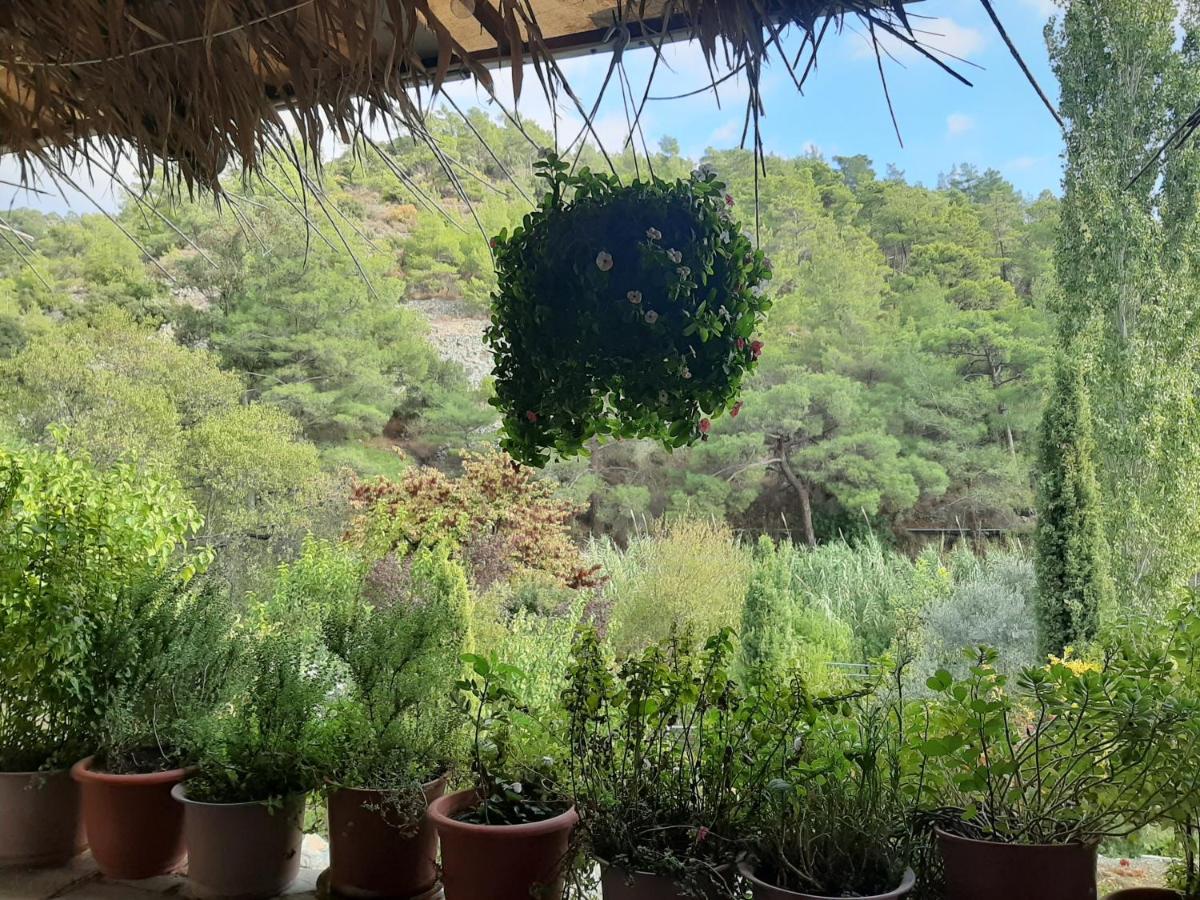 Blue Cottage Apsiou Bagian luar foto