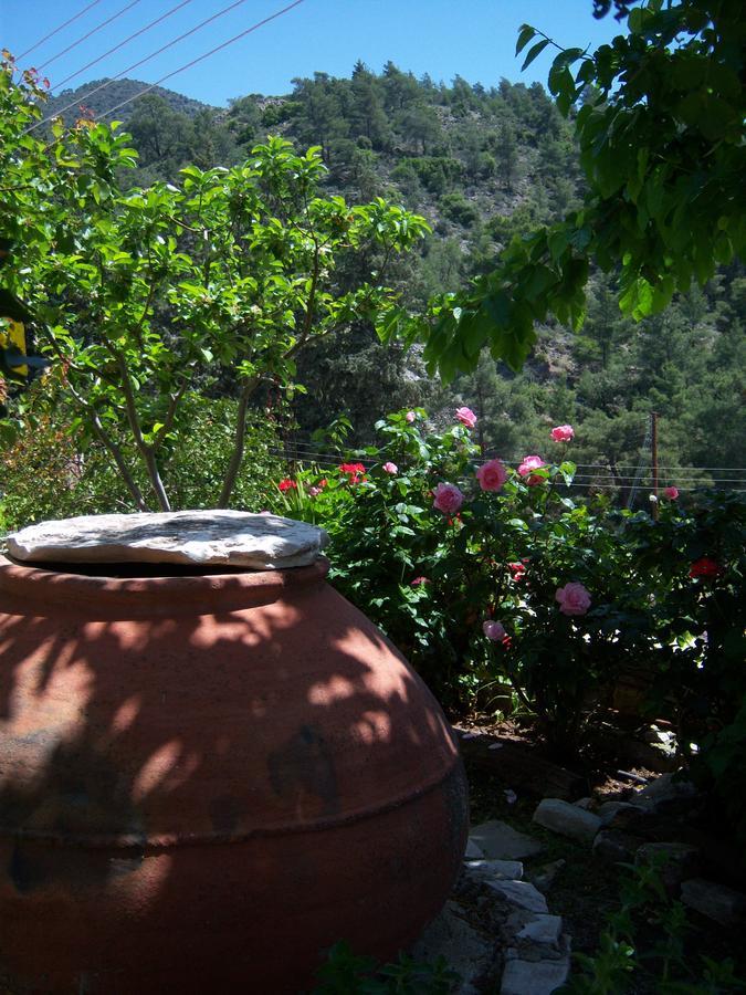 Blue Cottage Apsiou Bagian luar foto